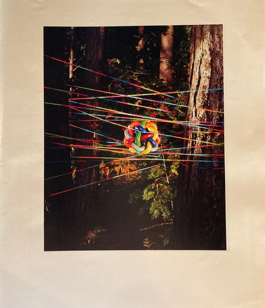 Pictures for Looking at & Equivalents by Jason Evans 2005-2012&2014 ジェイソン・エヴァンス
