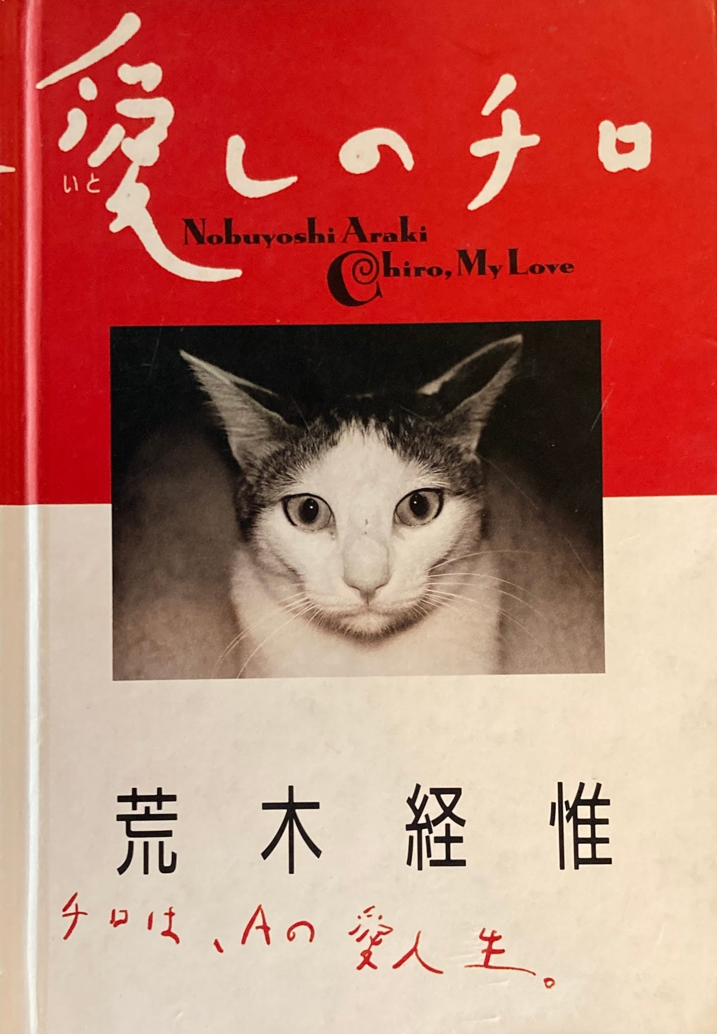愛しのチロ 荒木経惟