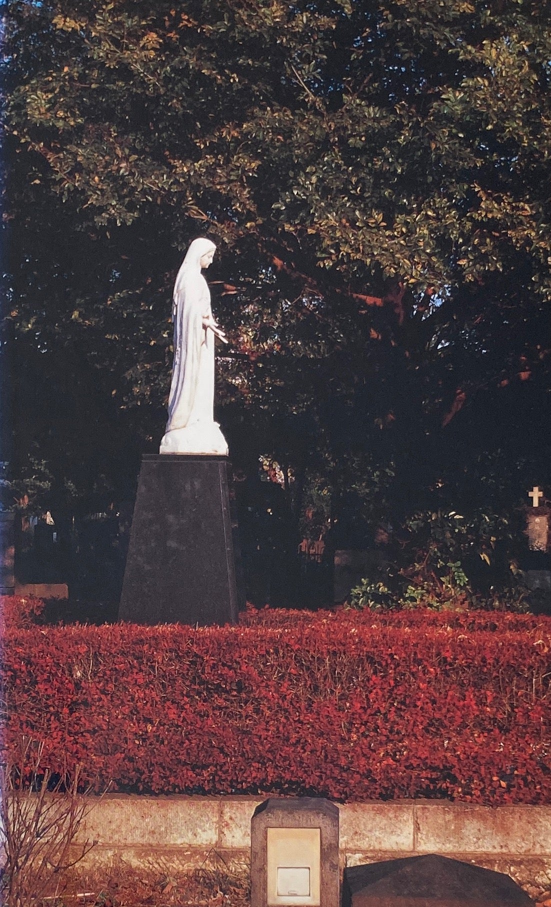 Book Bless You! YATARO MATSUURA relax Library002