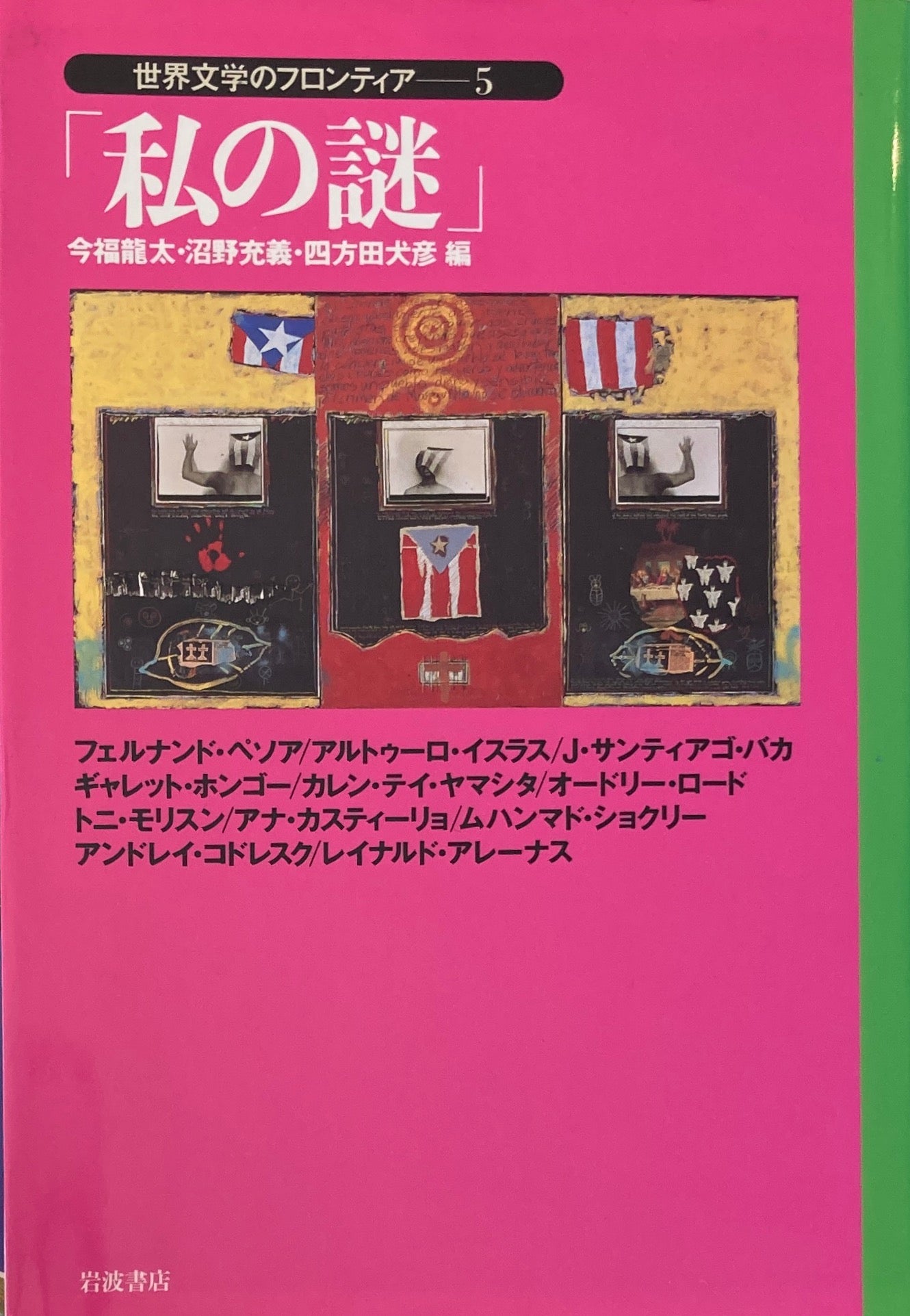 私の謎 世界文学のフロンティア5