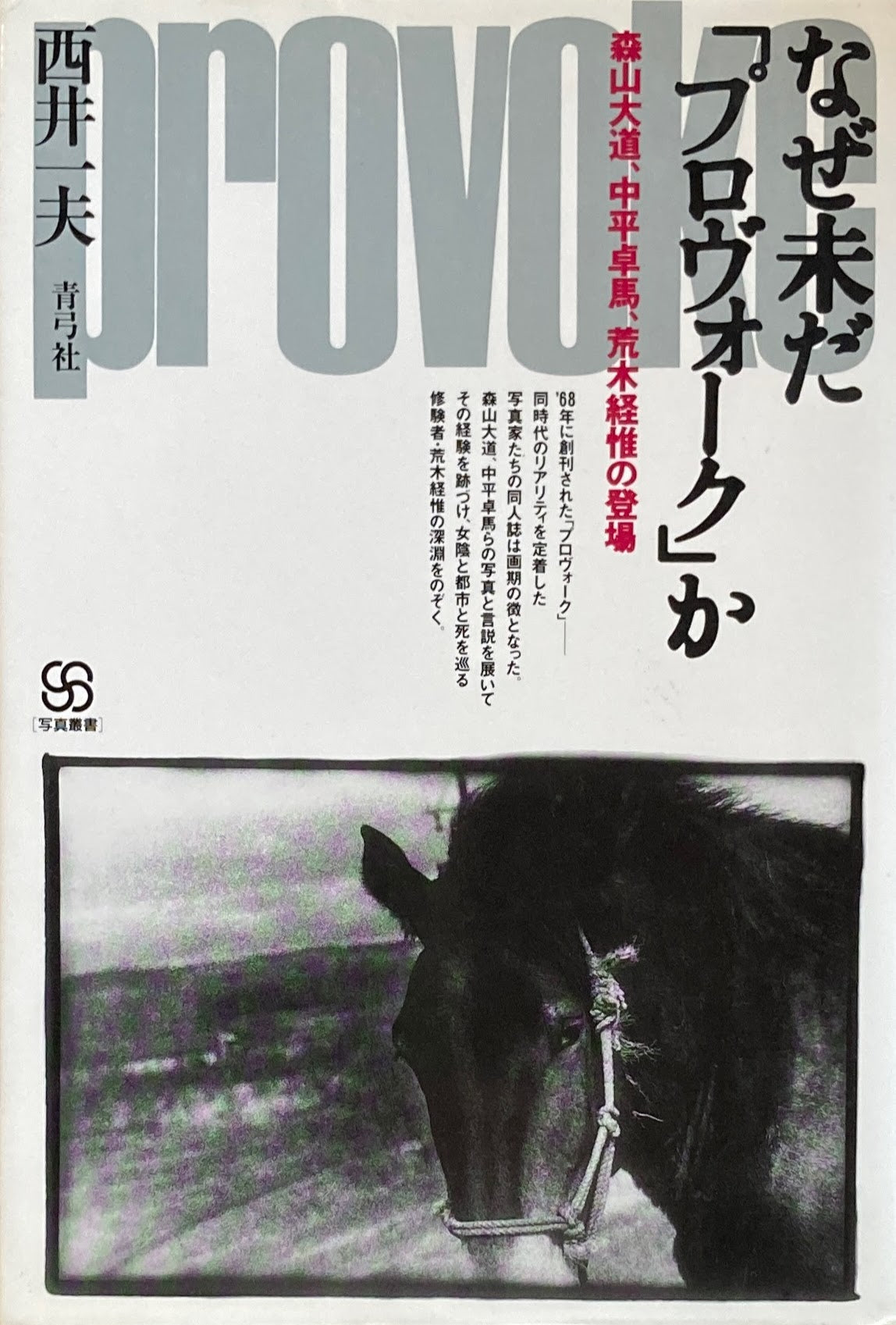 なぜ未だ「プロヴォーク」か 森山大東、中平卓馬、荒木経惟の登場 西井一夫