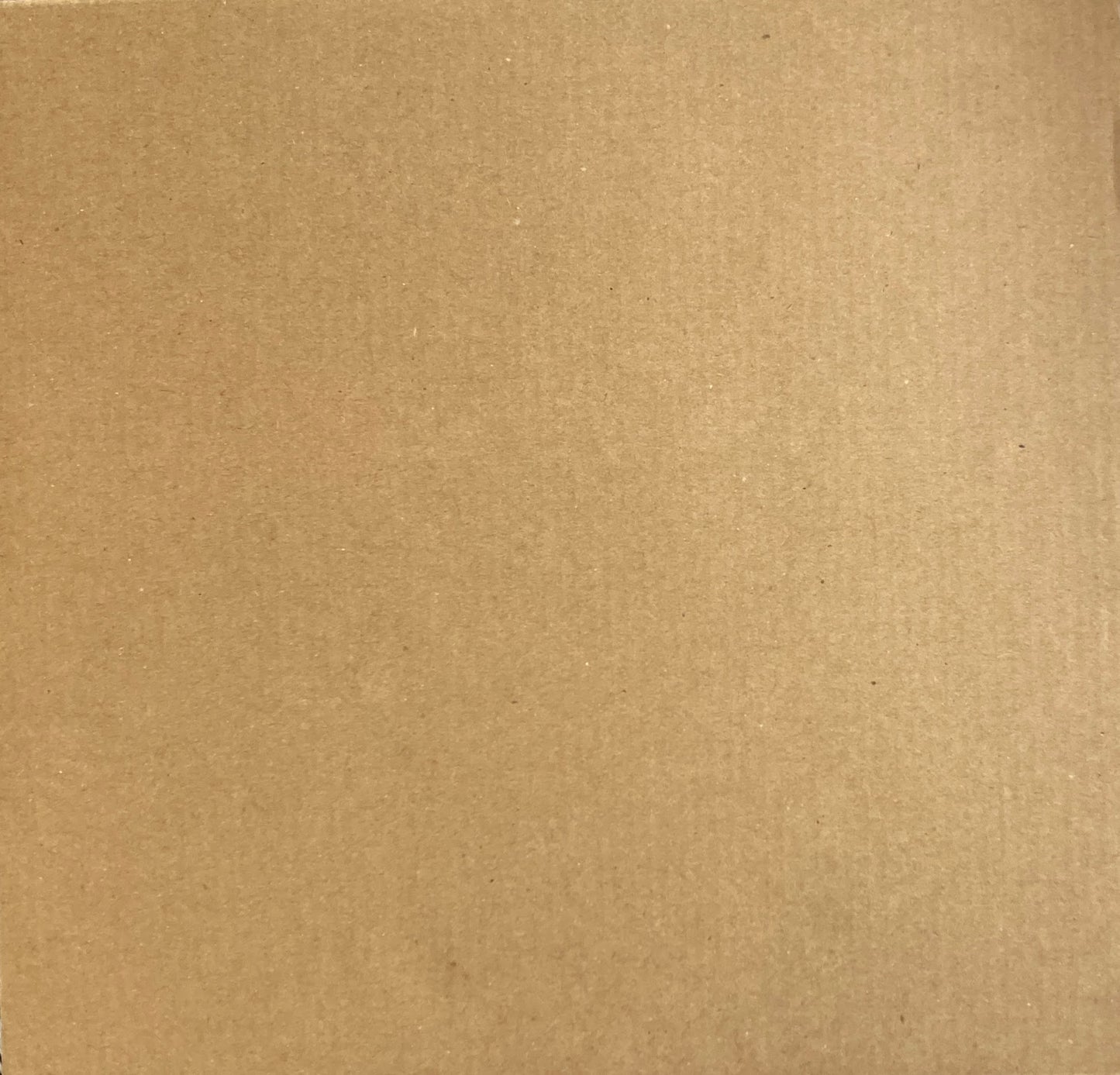 WITHERED FLOWERS TAJIMA KAZUNALI 田島一成写真集