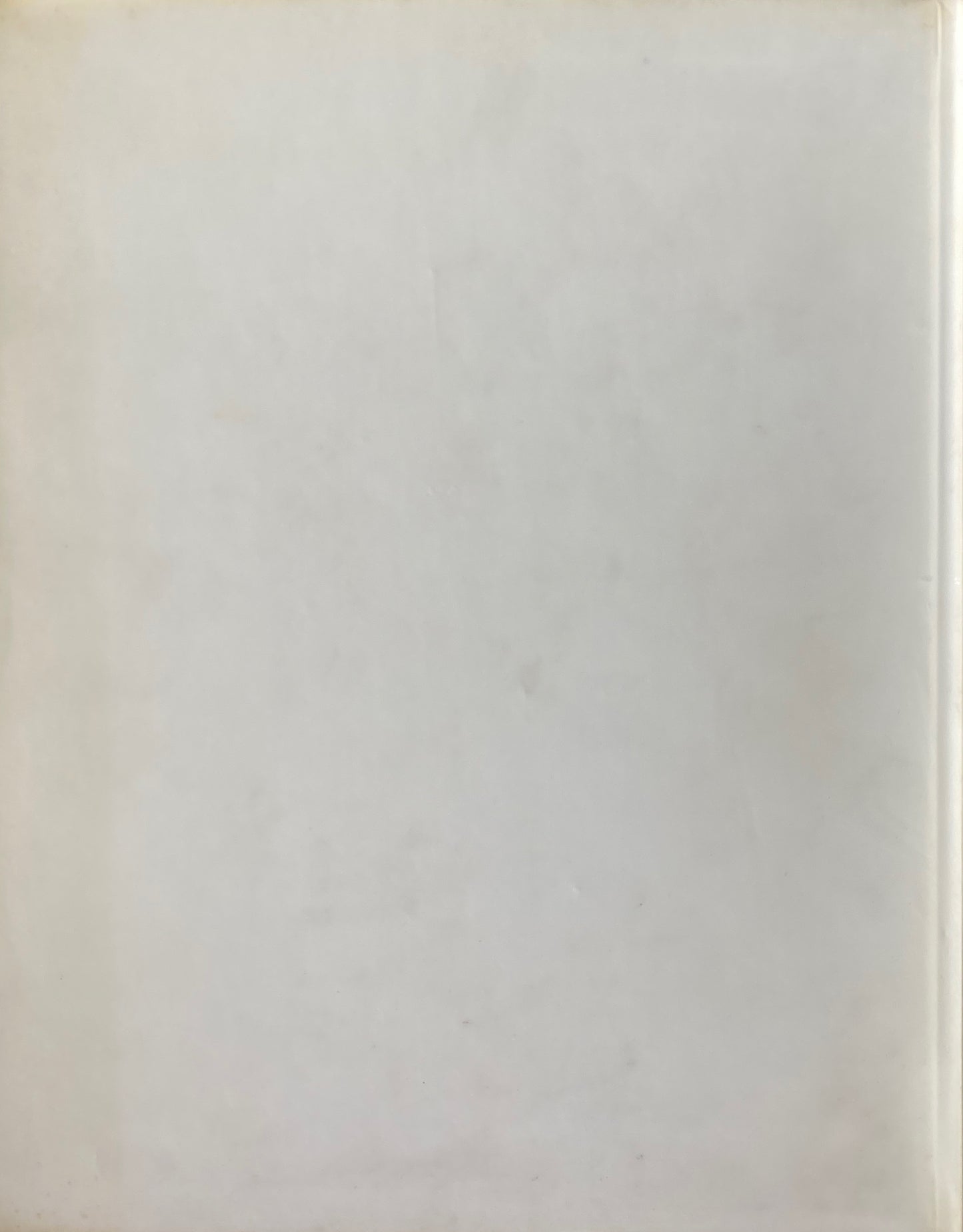 Die Skizzenbücher, Zeichnungen, Objekte aus dem Woodstock-Hotel New York 1973-1979 Hans Falk Paul Nizon ハンス・フォーク作品集