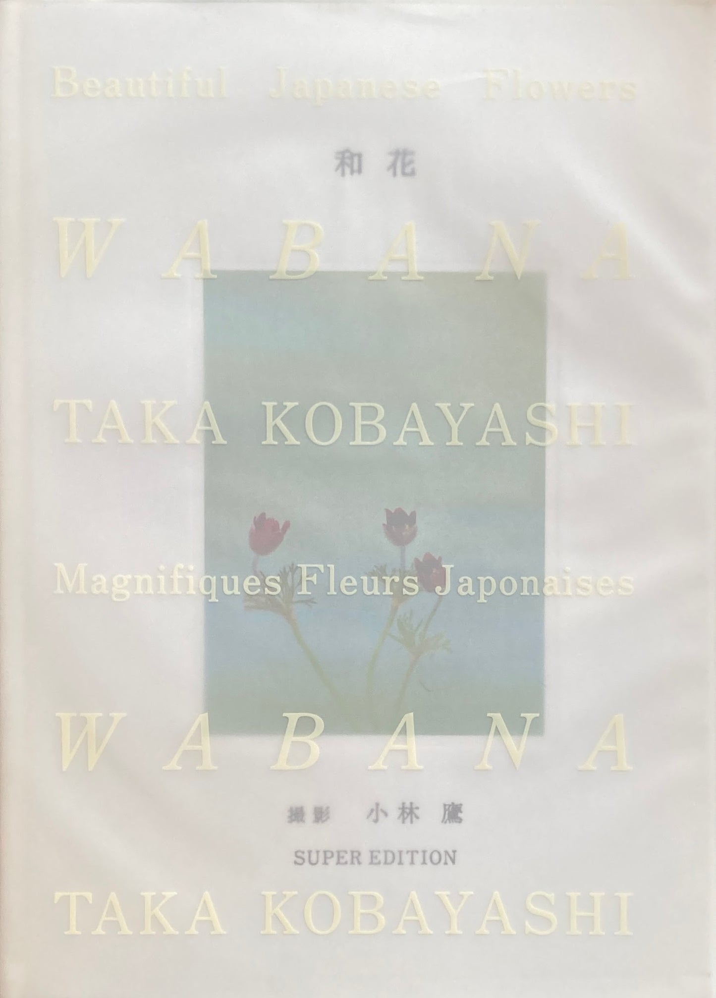 和花 WABANA 小林鷹写真集