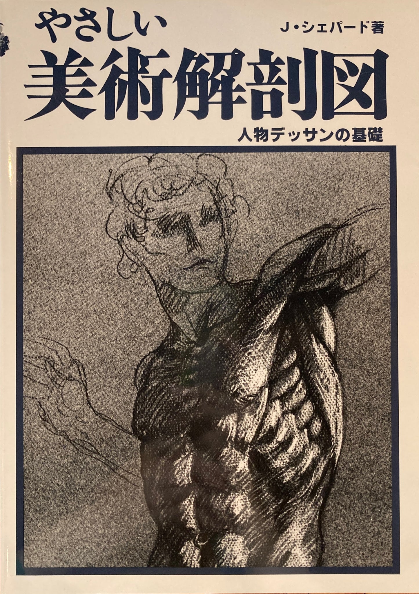 やさしい美術解剖図 人物デッサンの基礎