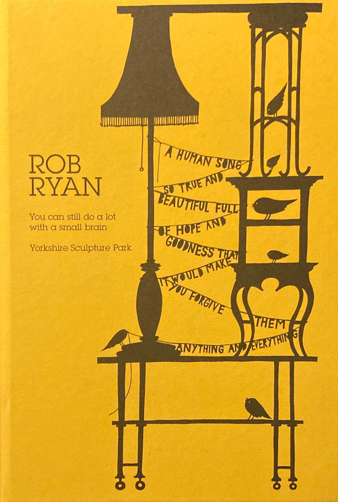 Rob Ryan You Can Still Do a Lot with a Small Brain