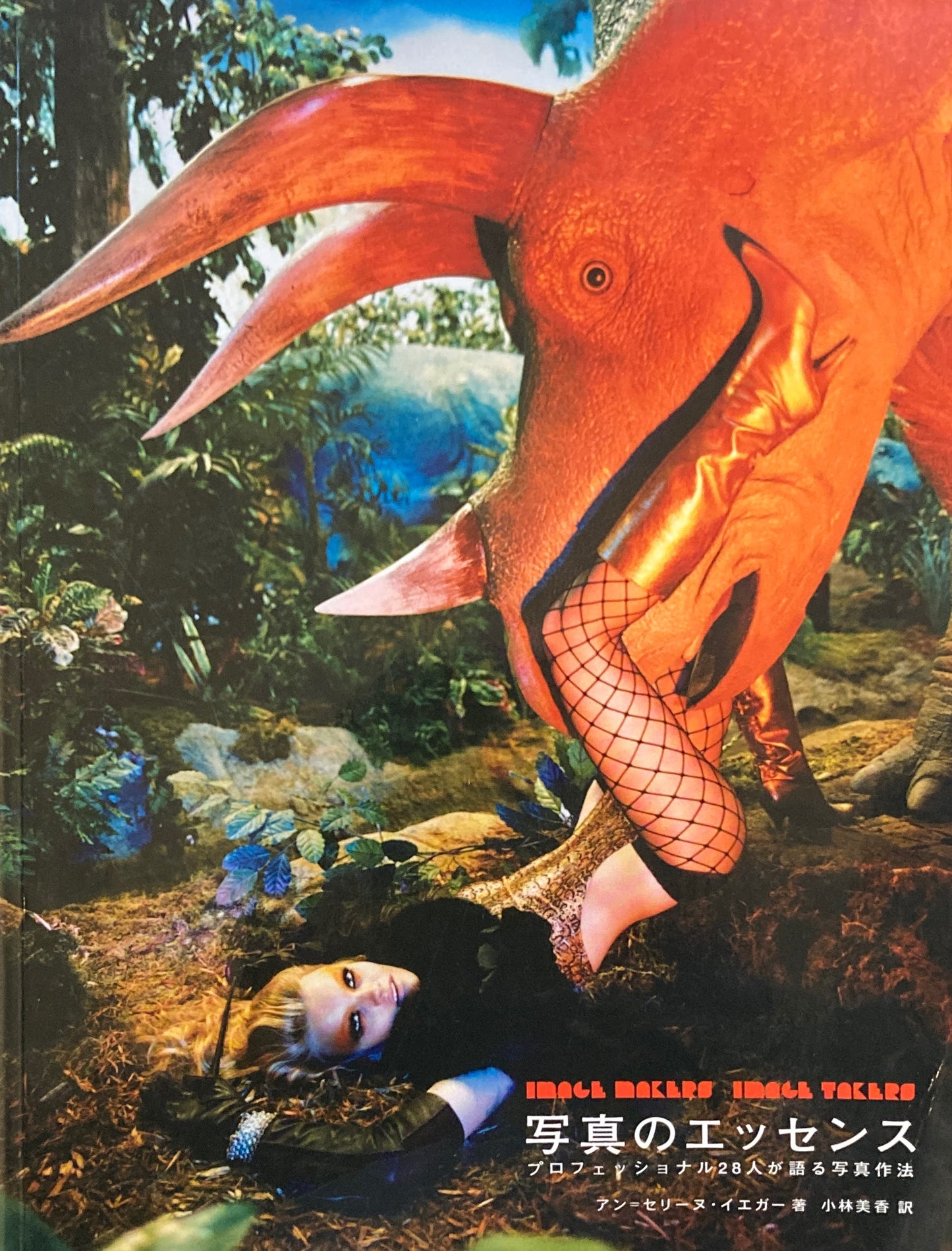 写真のエッセンス プロフェッショナル28人が語る写真作法 アン・セリーヌ・イエガー