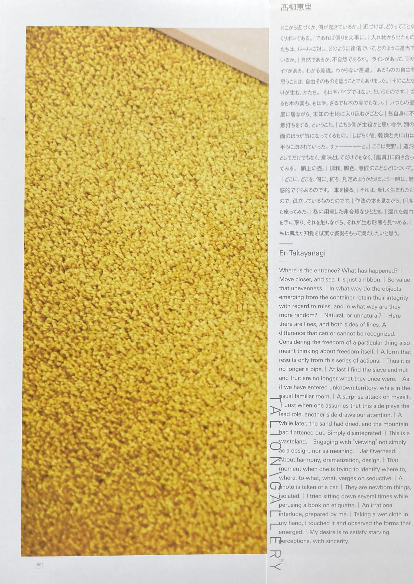 高柳恵里 Eri Takayanagi TALION GALLERY