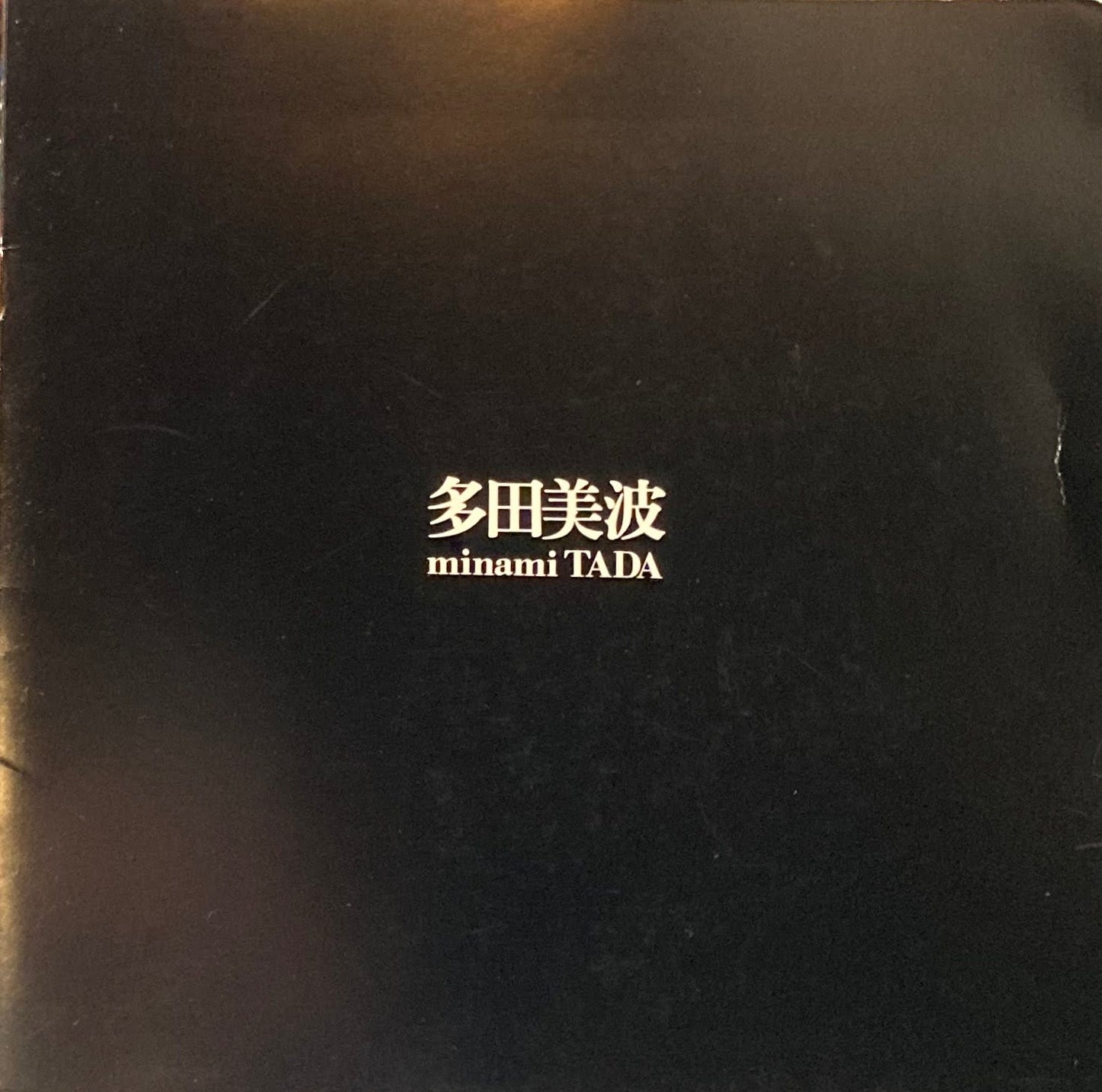 多田美波 minami TADA 東京画廊 1982