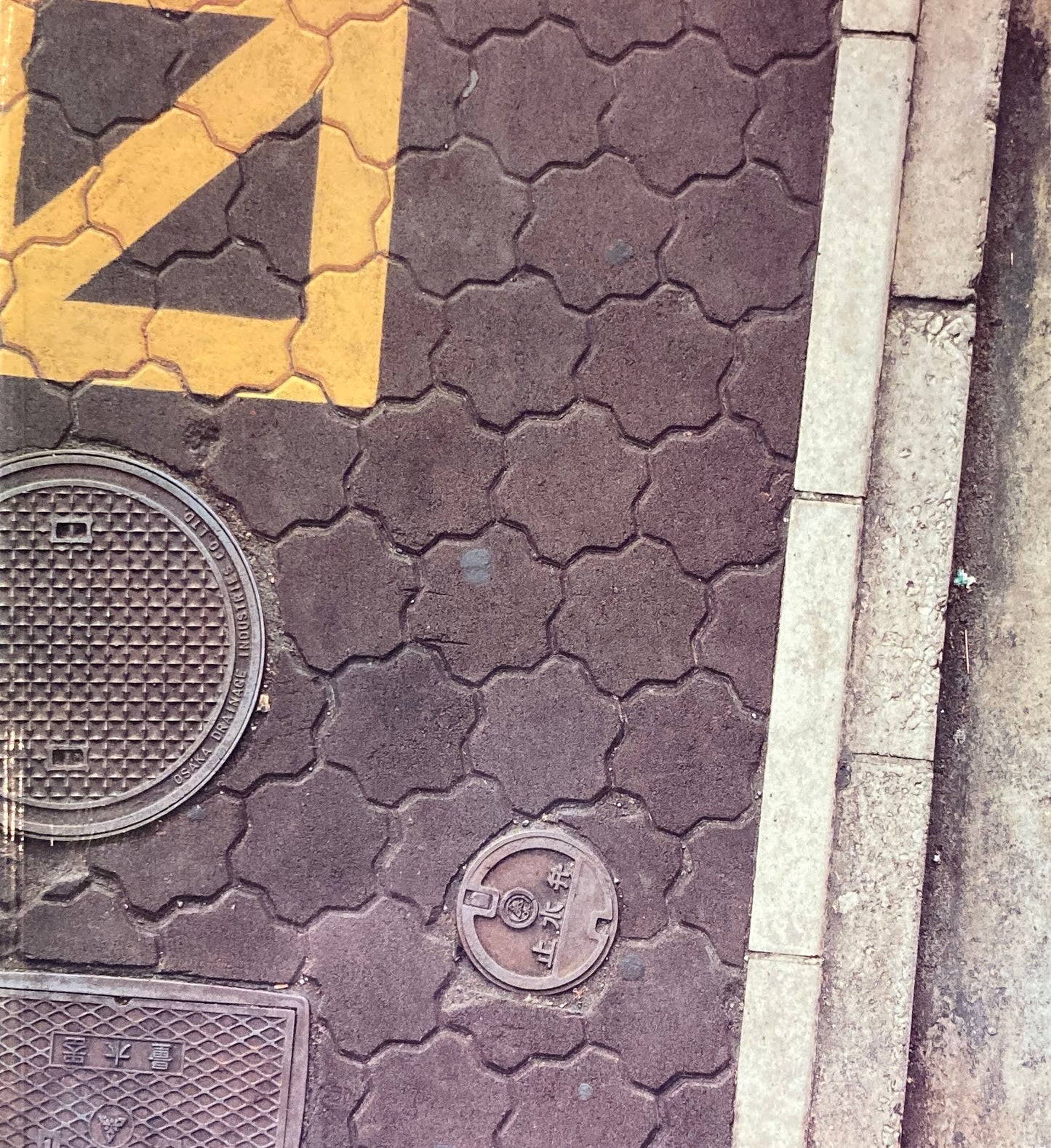 ボイル・ファミリー Boyle Family 西村画廊