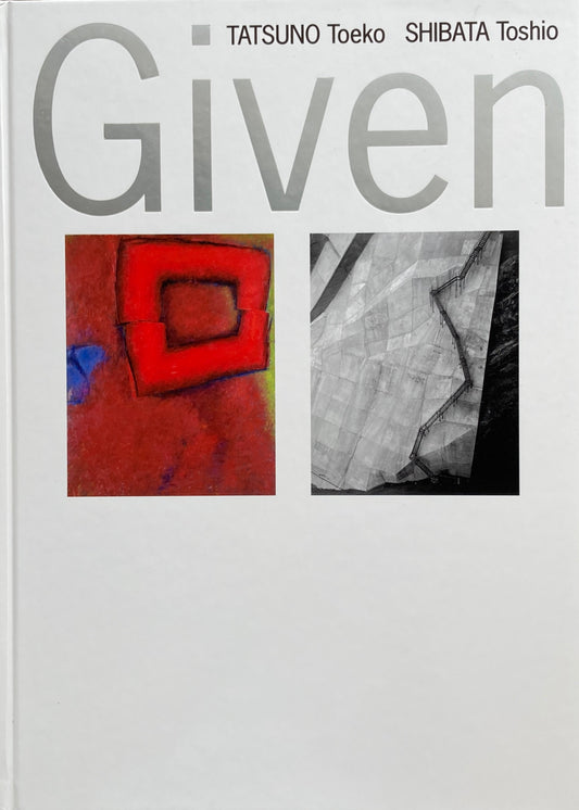 与えられた形象 辰野登恵子 柴田敏雄 Given Forms 国立新美術館