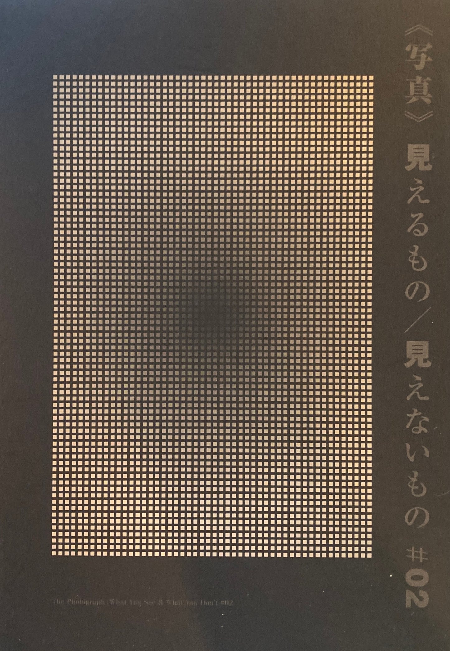 写真: 見えるもの/見えないもの #02展 東京藝術大学大学美術館