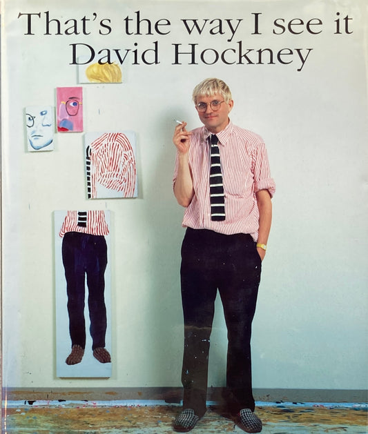 That's  the way I see it David Hockney