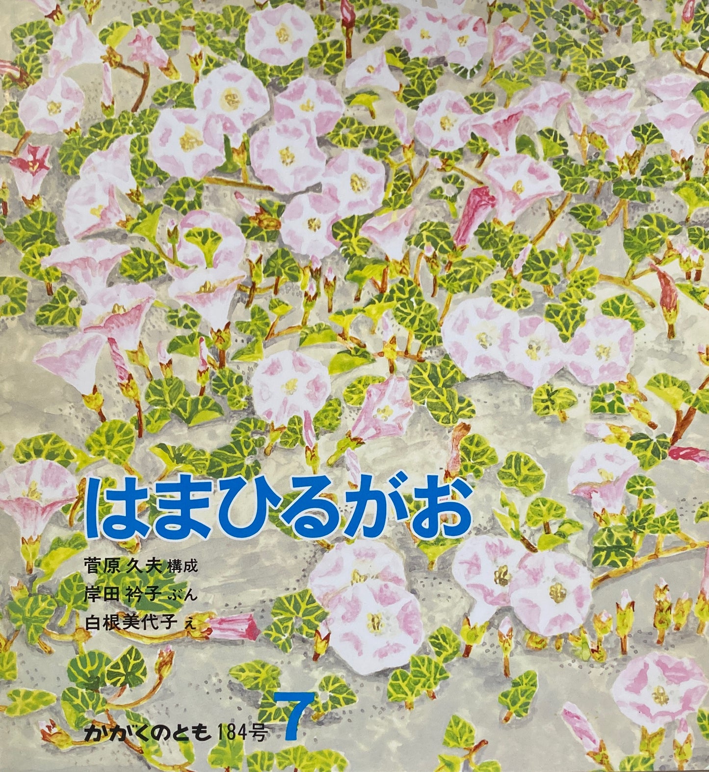 はまひるがお かがくのとも184号