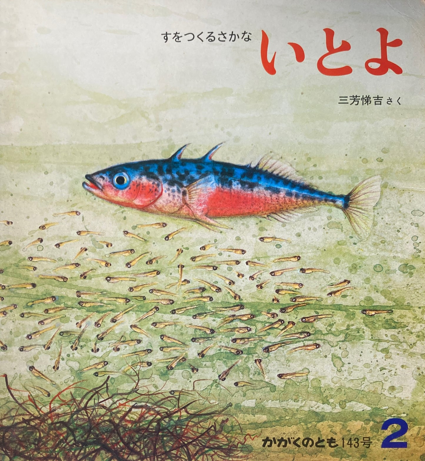 いとよ すをつくるさかな かがくのとも143号
