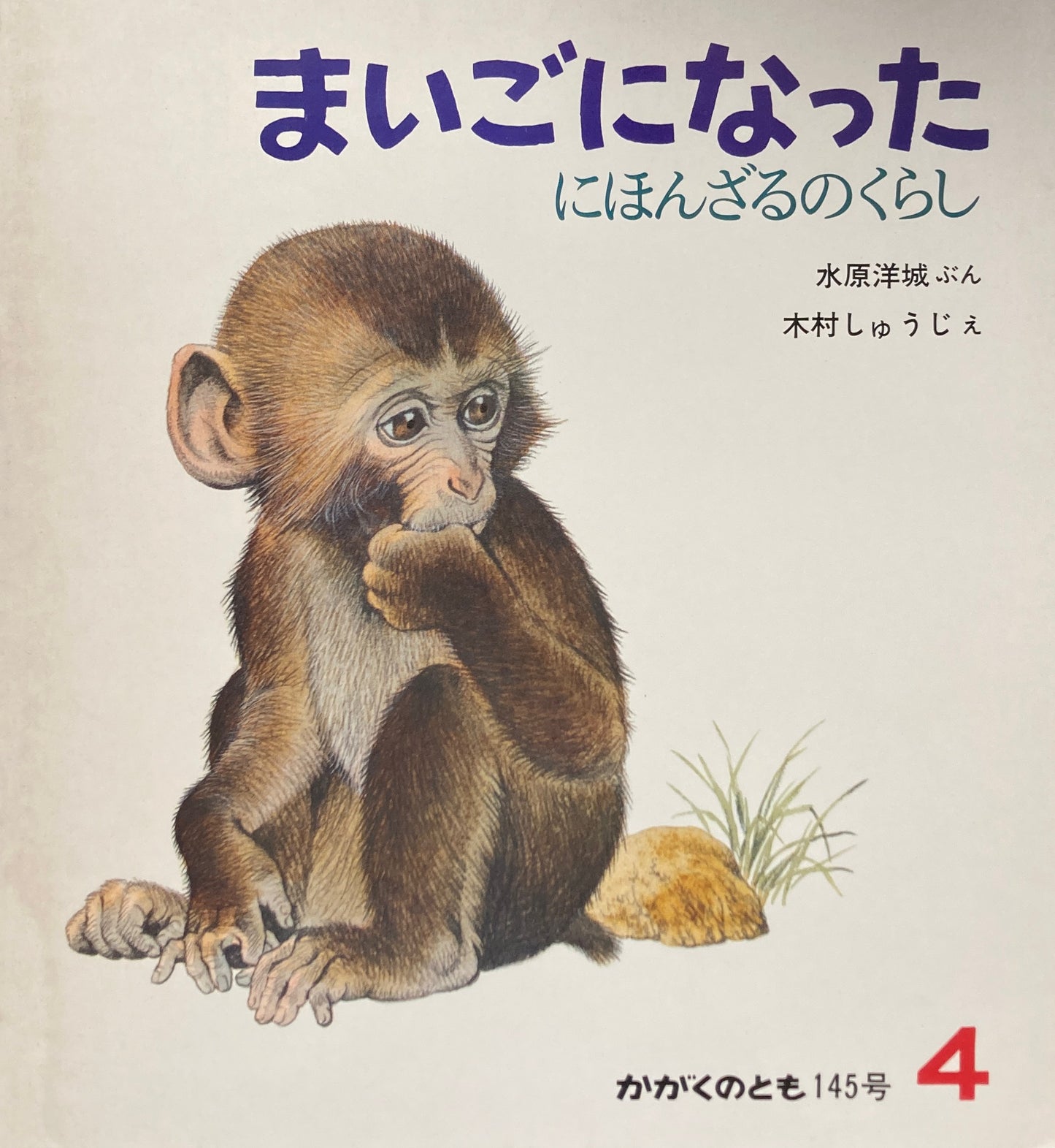 まいごになった にほんざるのくらし かがくのとも145号
