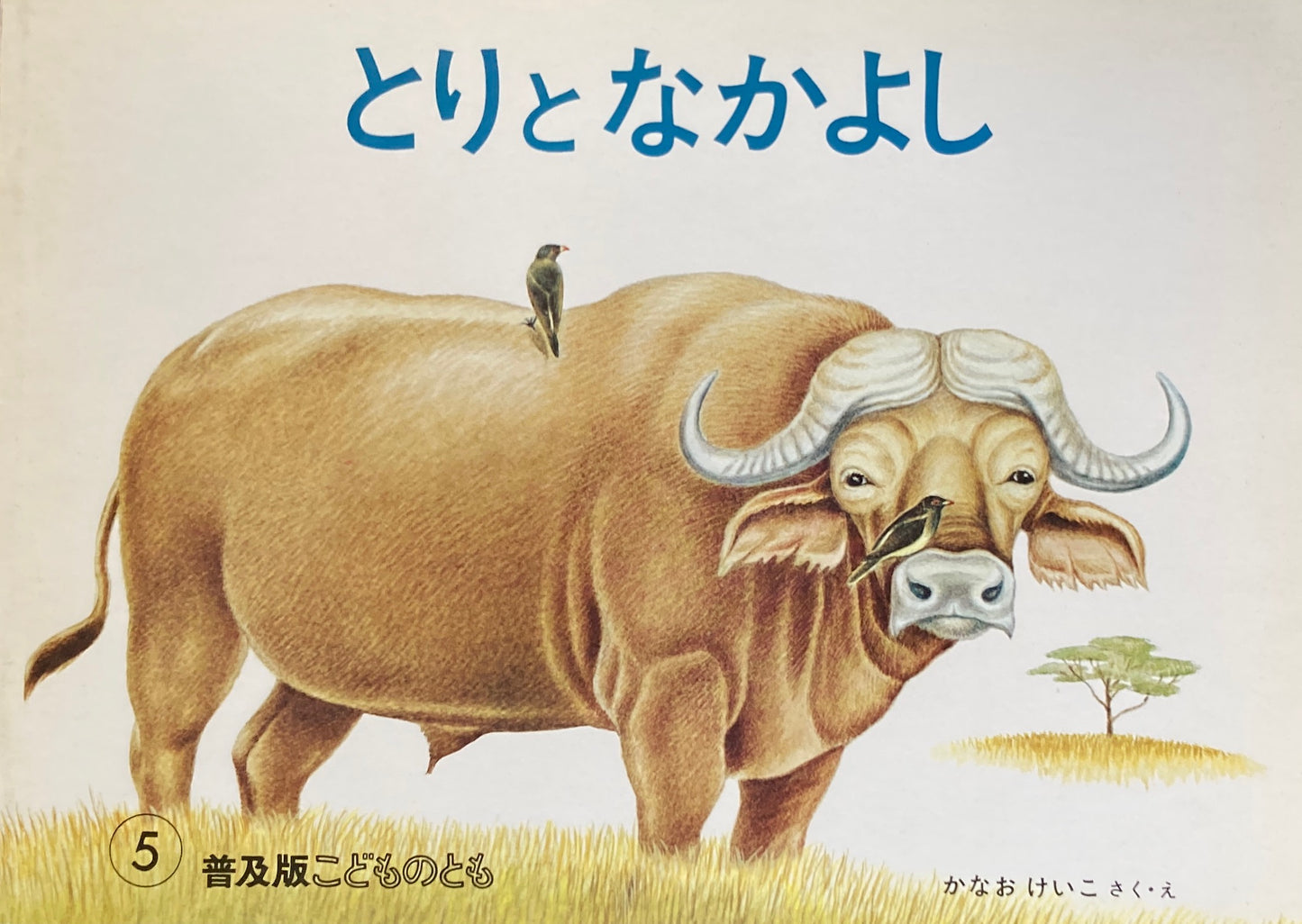 とりとなかよし こどものとも普及板1983年5月号