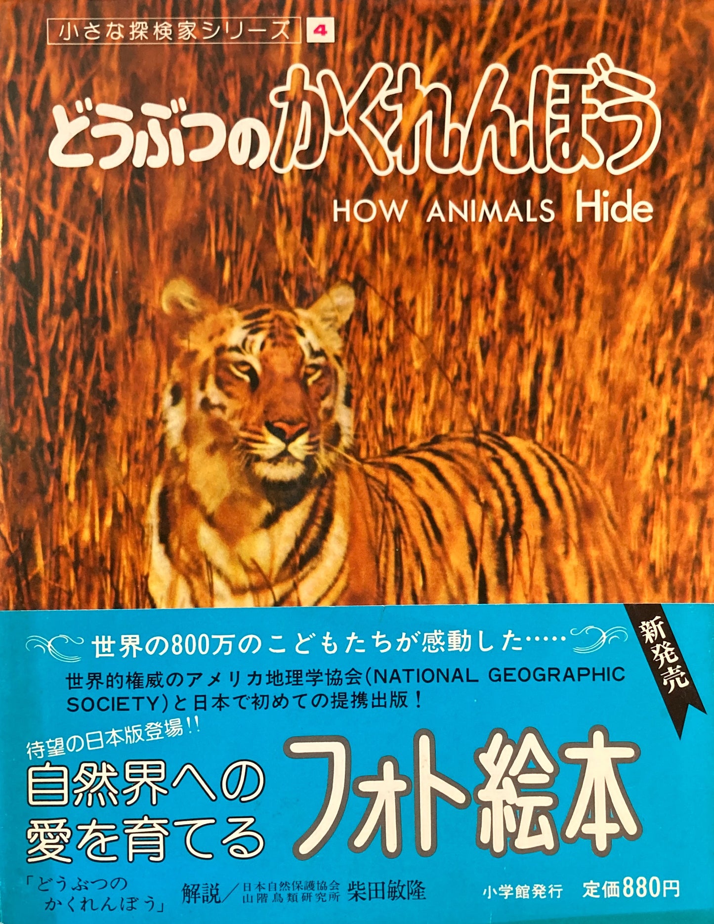 どうぶつのかくれんぼう 小さな探検家シリーズ4