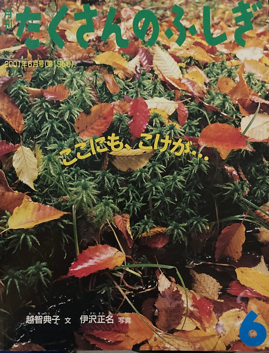 ここにも、こけが・・・ たくさんのふしぎ195号 2001年6月号