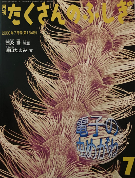 電子の虫めがね たくさんのふしぎ184号  2000年 7月号