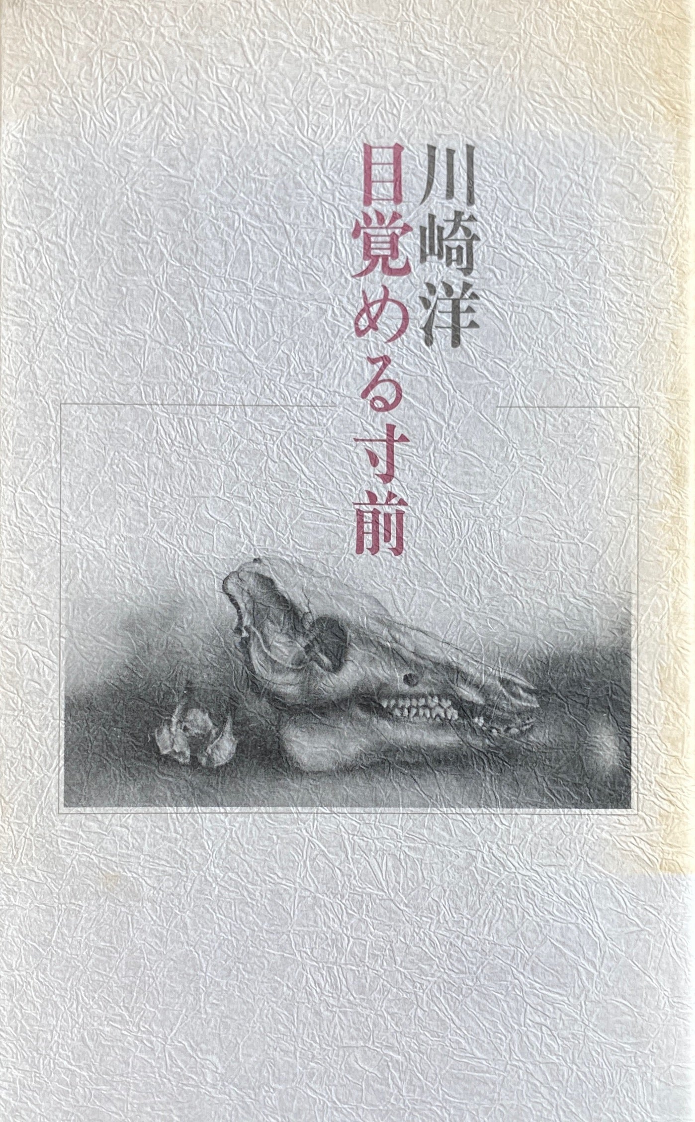 川崎洋 目覚める寸前