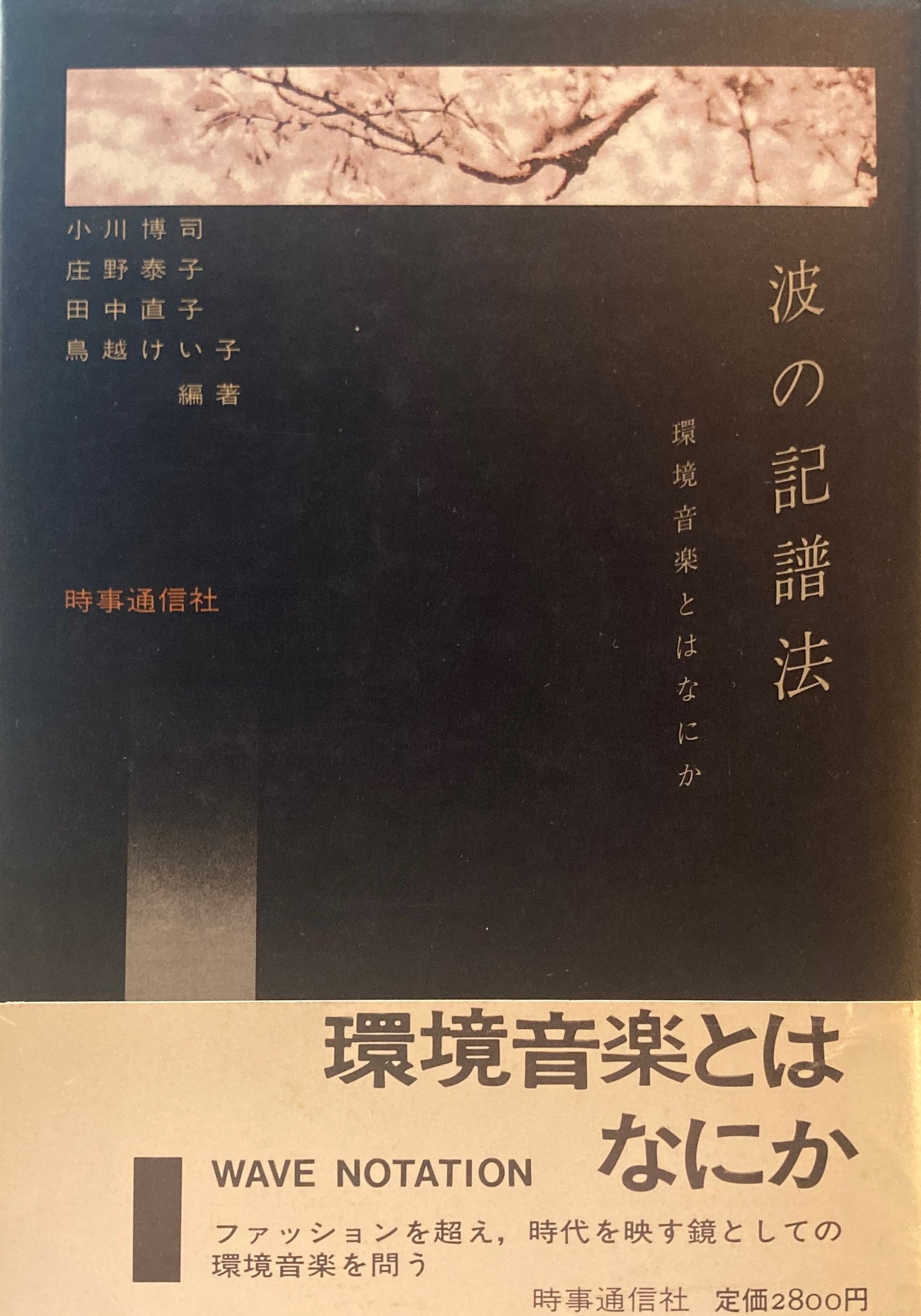 波の記譜法 環境音楽とはなにか 小川博司 庄野泰子 田中直子 鳥越けい子 編著