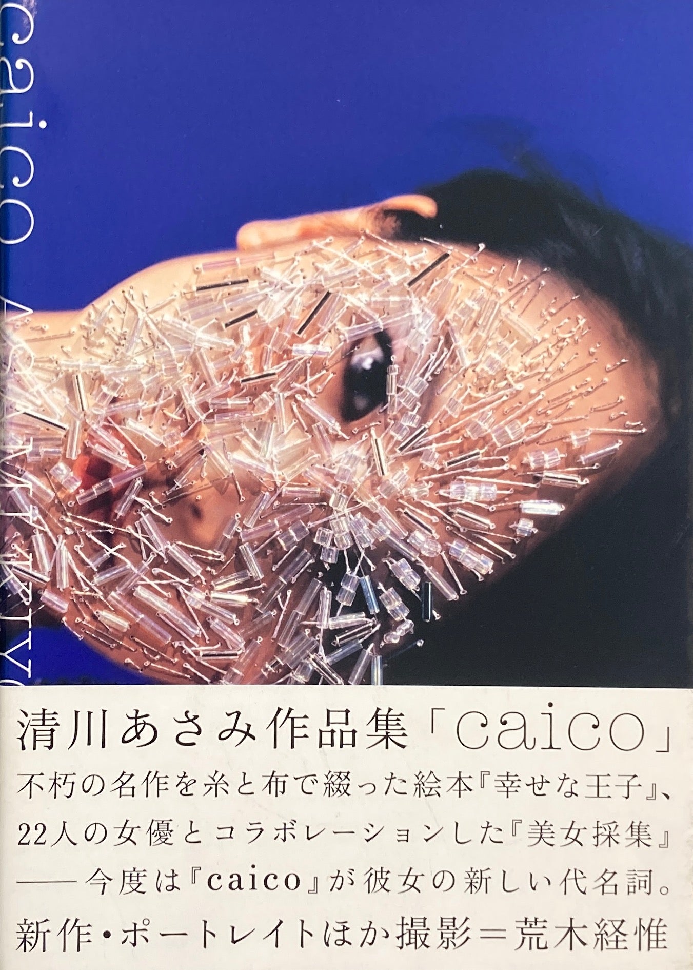 清川あさみ作品集 caico