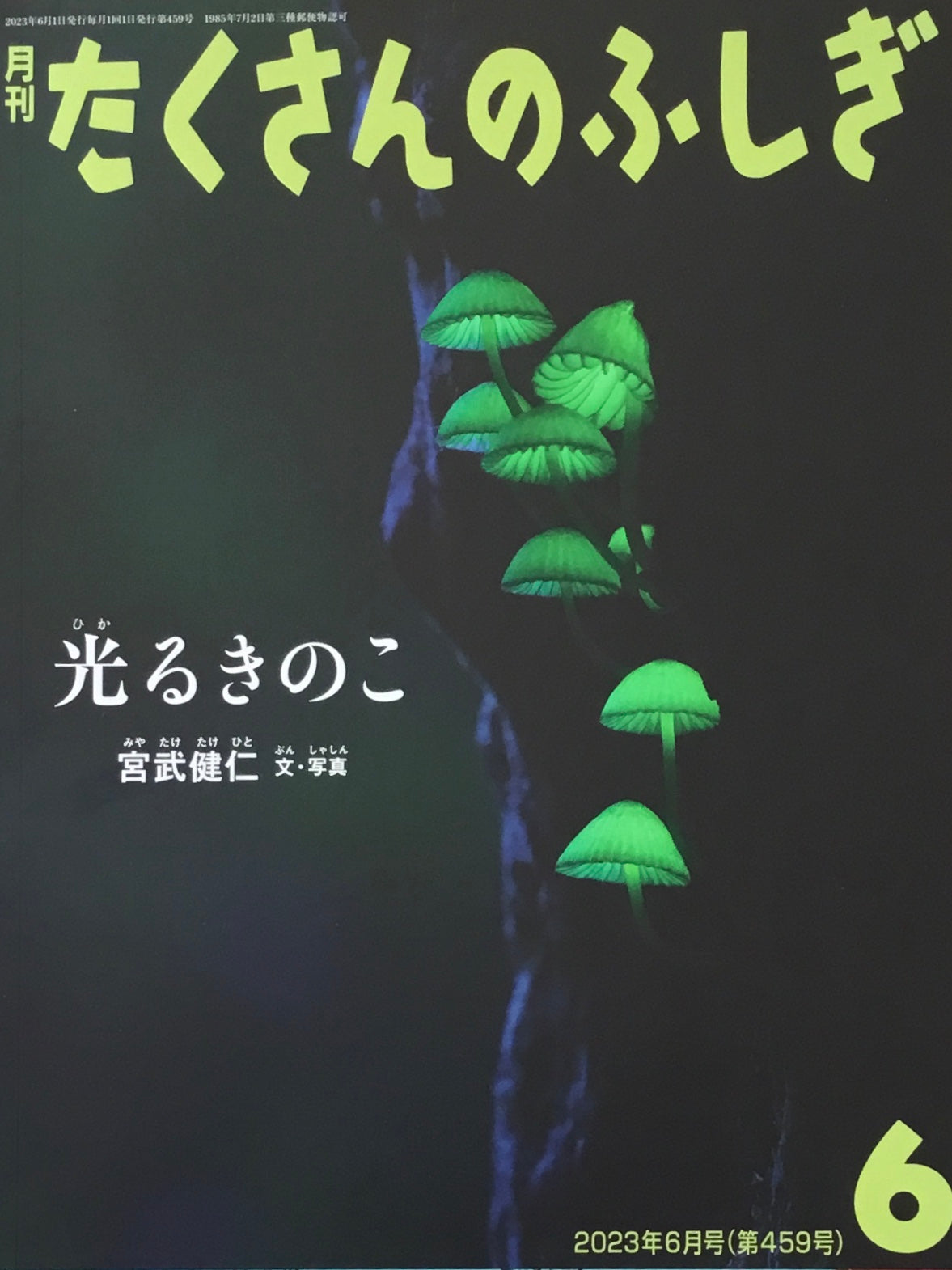 光るきのこ たくさんのふしぎ459号
