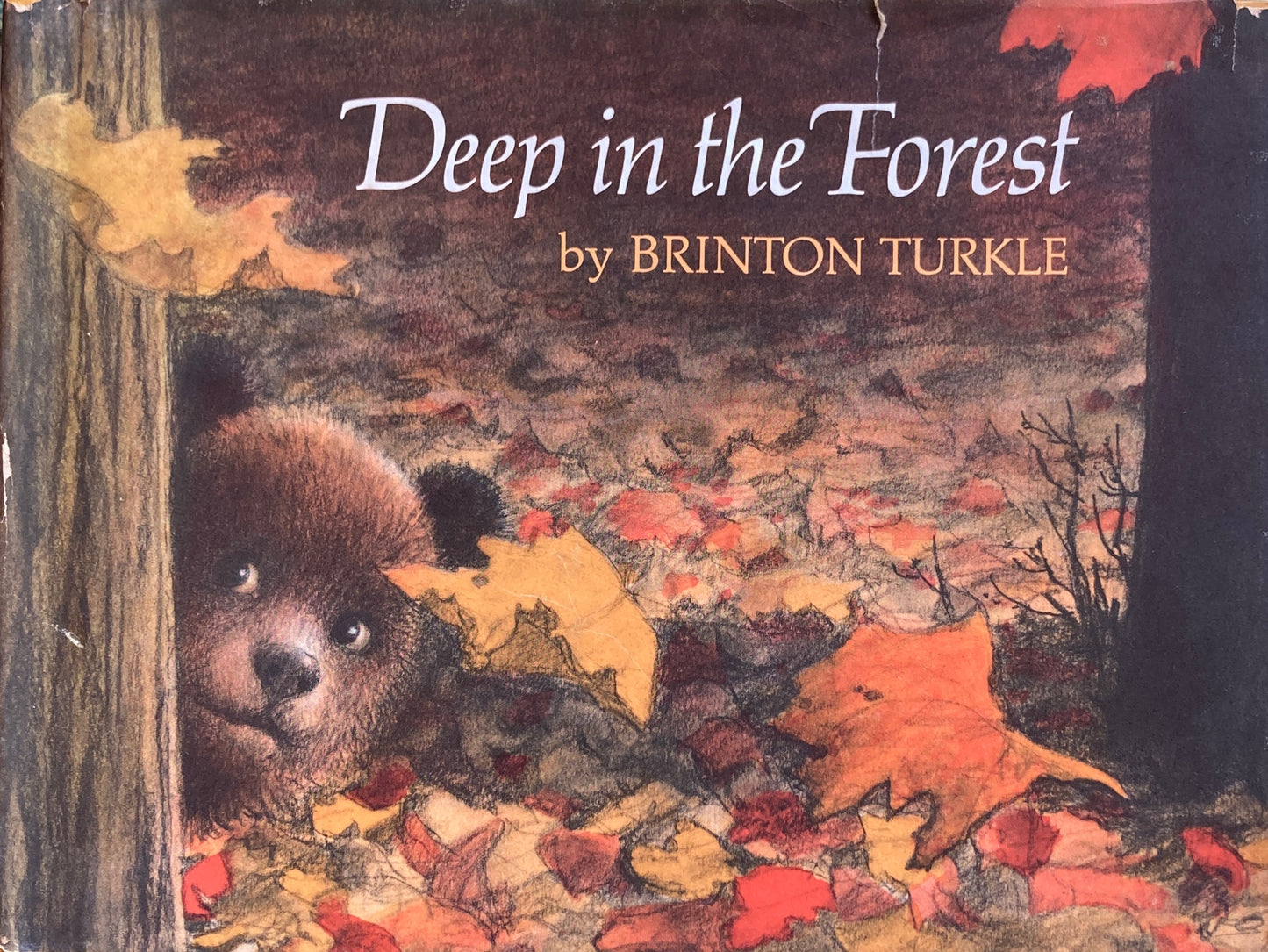 Deep in the Forest Brinton Turkle