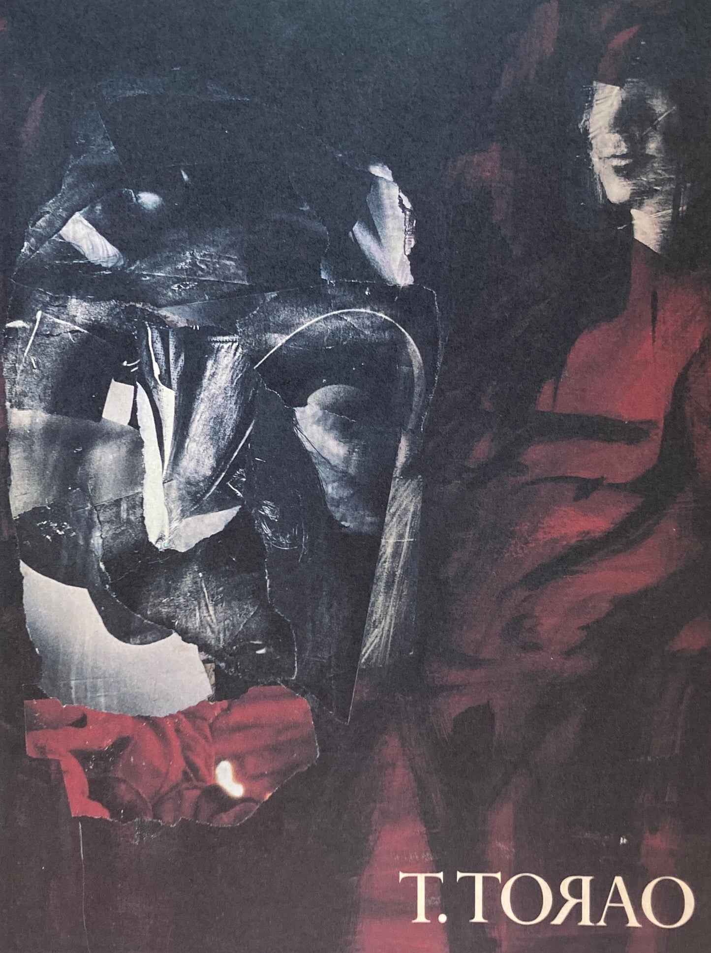 VIKING T.TRAO STRIPED HOUSE Museum of Art