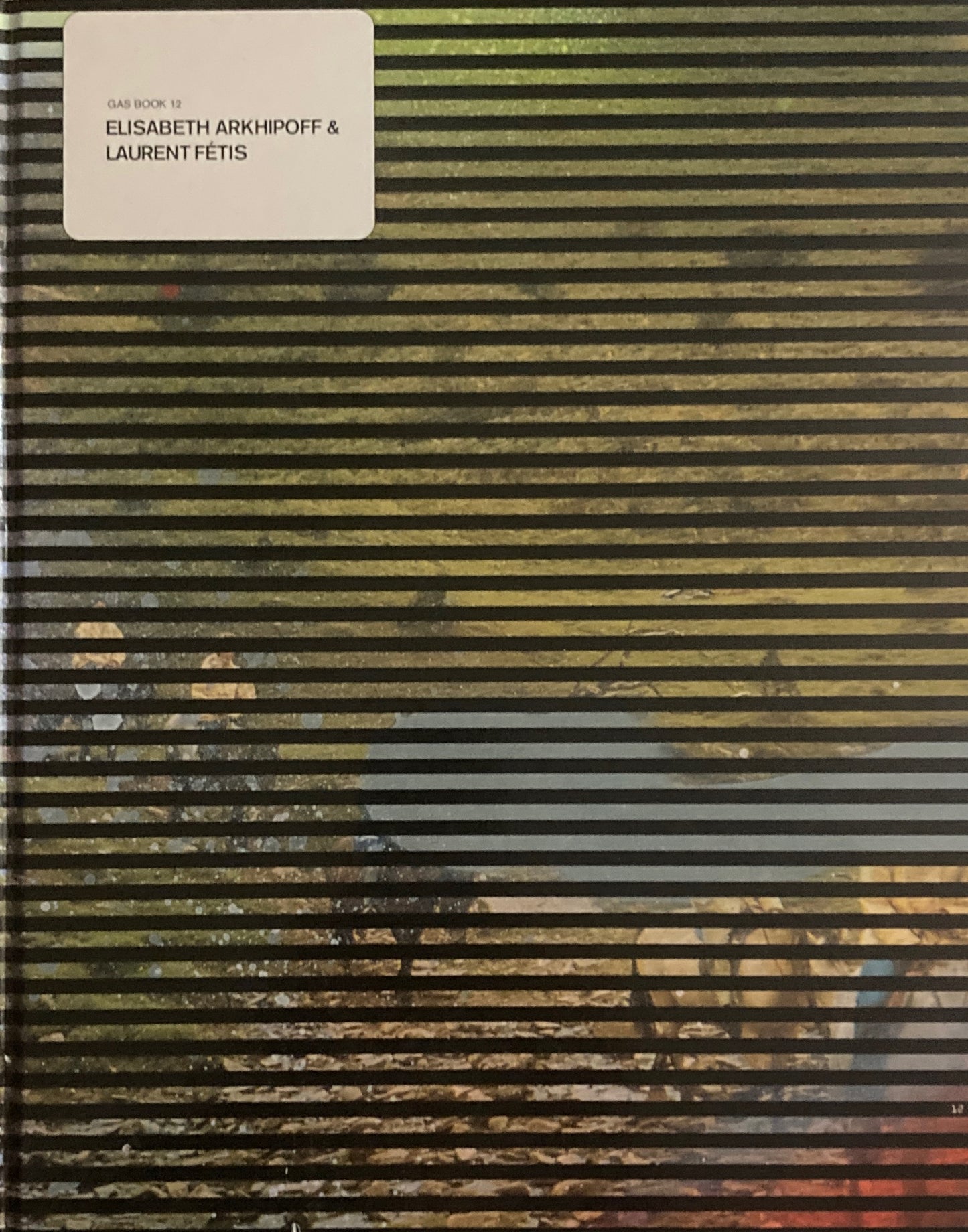 GASBOOK 12 ELIZABETH ARKHIPOFF & LAURENT FETIS エリザベス・アーキポフ&ローラン・フェティス