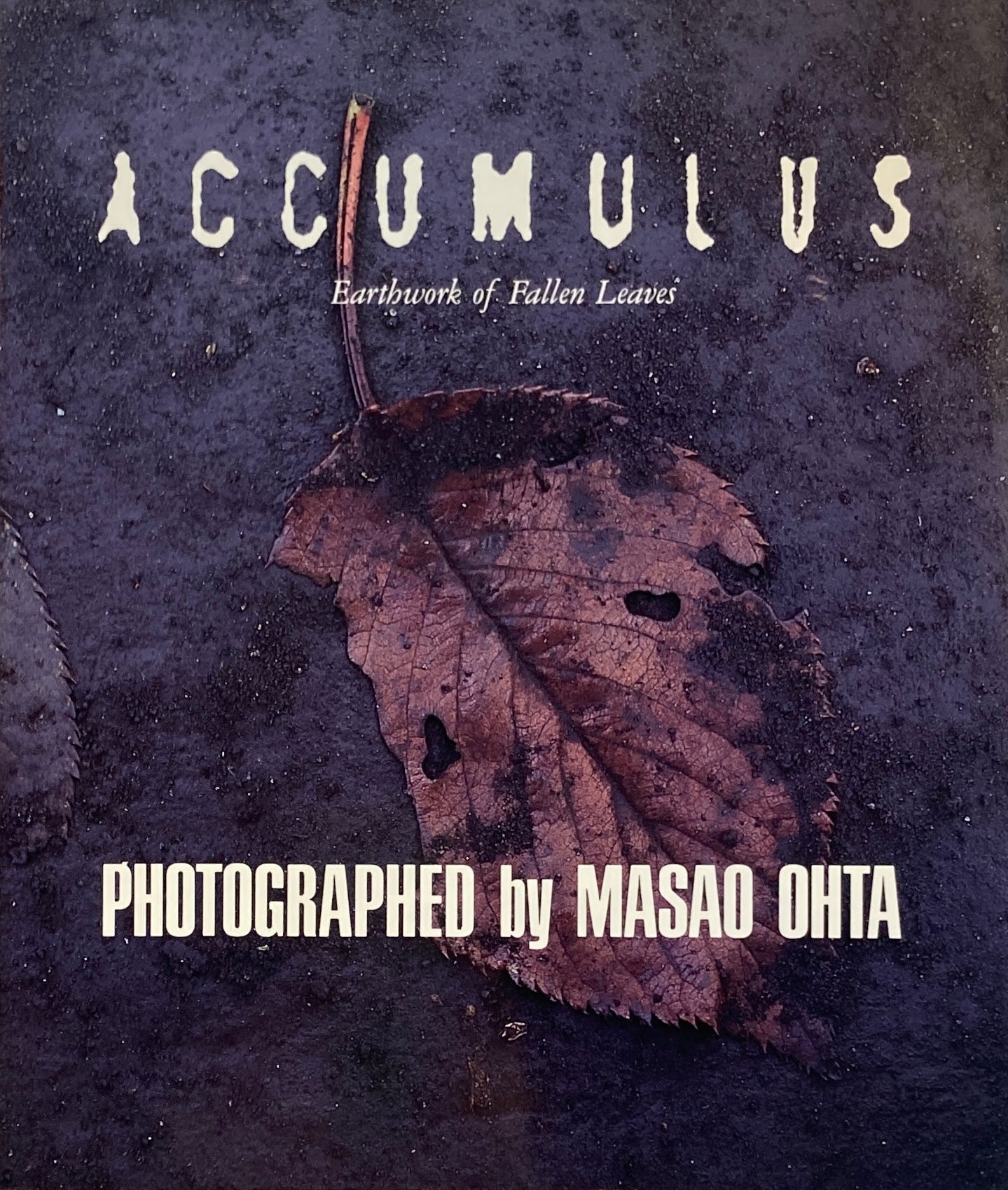 ACCUMULUS オオタ・マサオ写真集