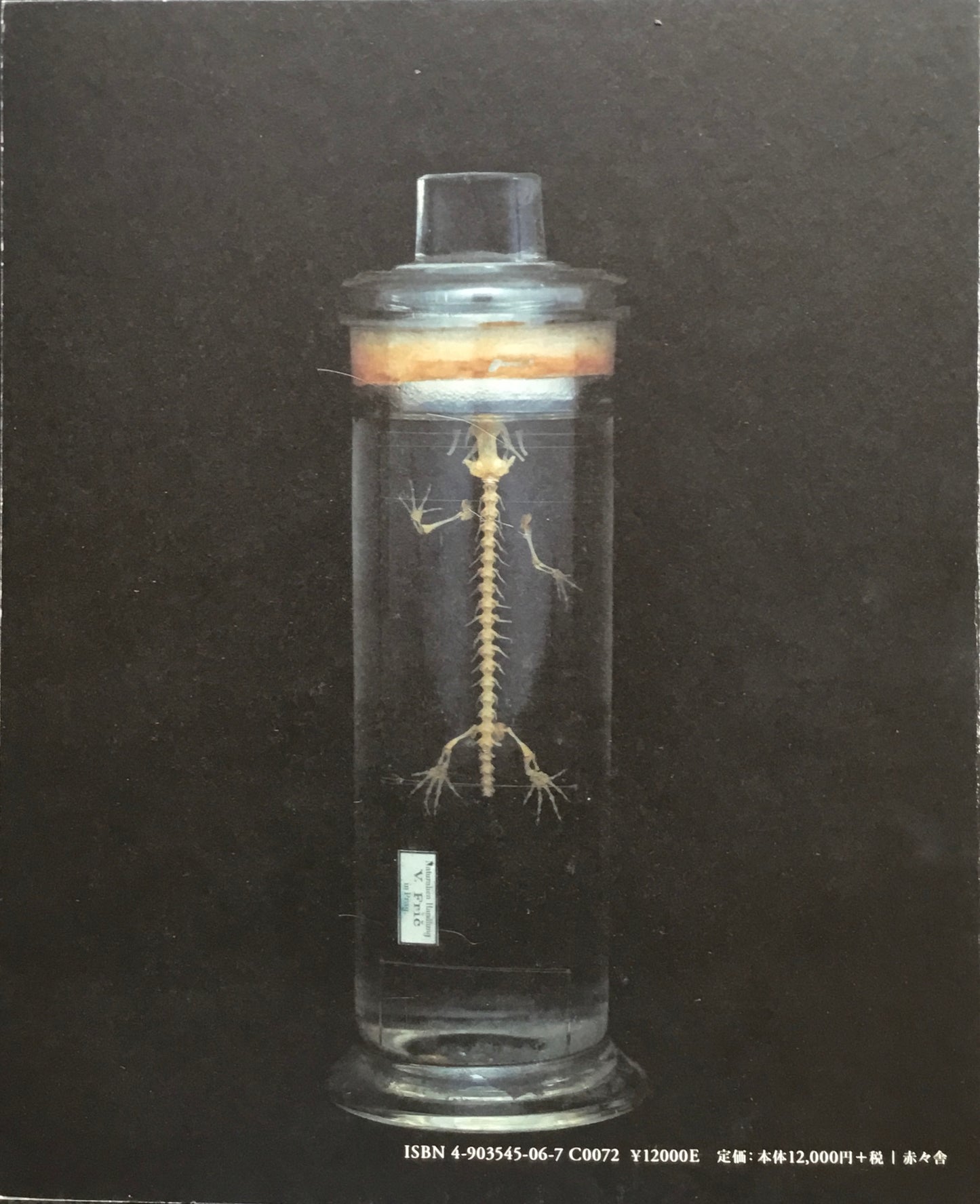 CHAMBER of CURIOSITIES from th eCollection of The University of Tokyo Photographed by Yoshihiko Ueda
