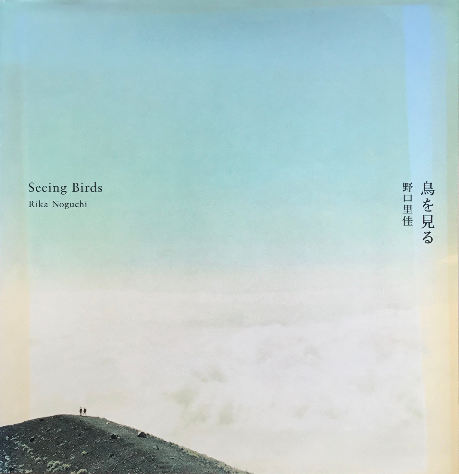 鳥を見る 野口里佳写真集