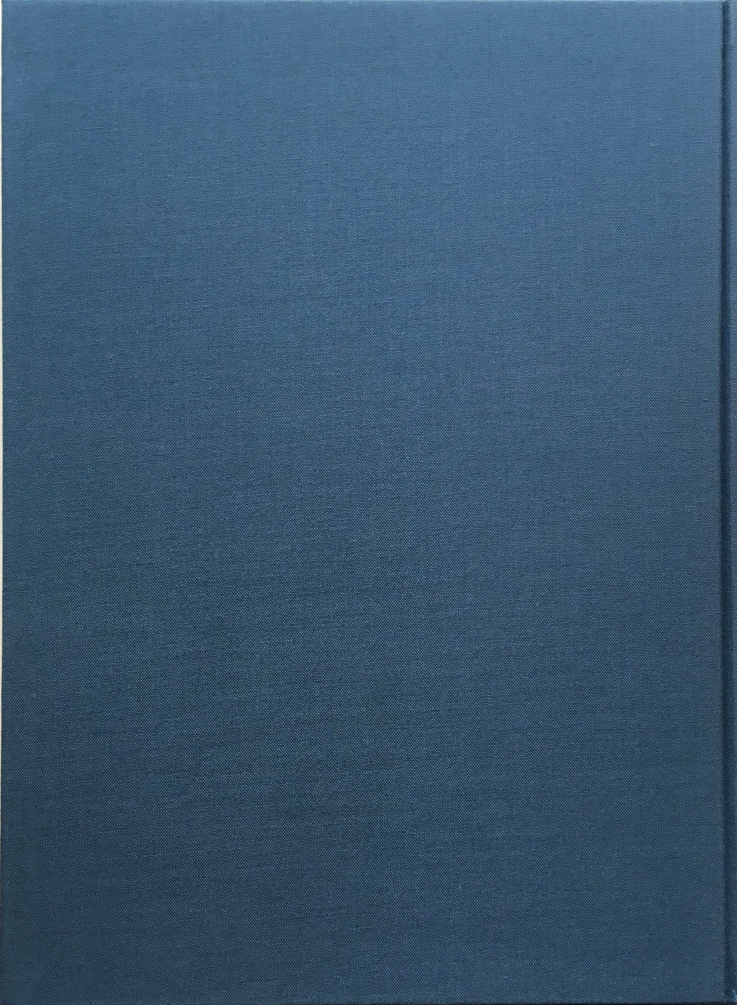 SWISS 長島有里枝