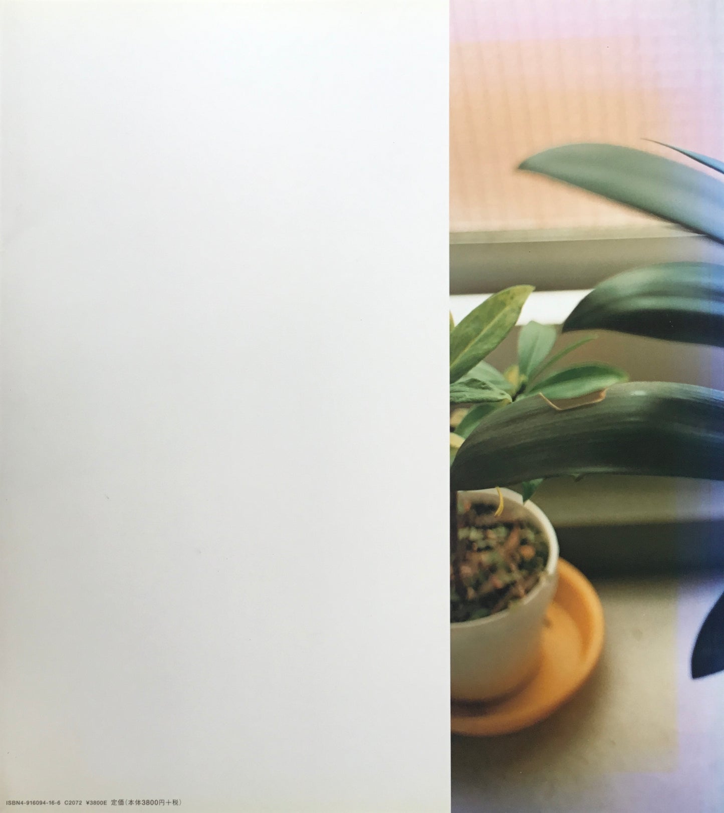 生きている 佐内正史