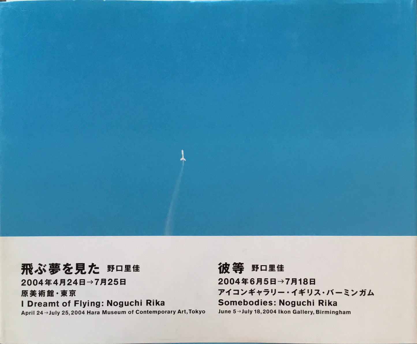 この星 野口里佳 写真集