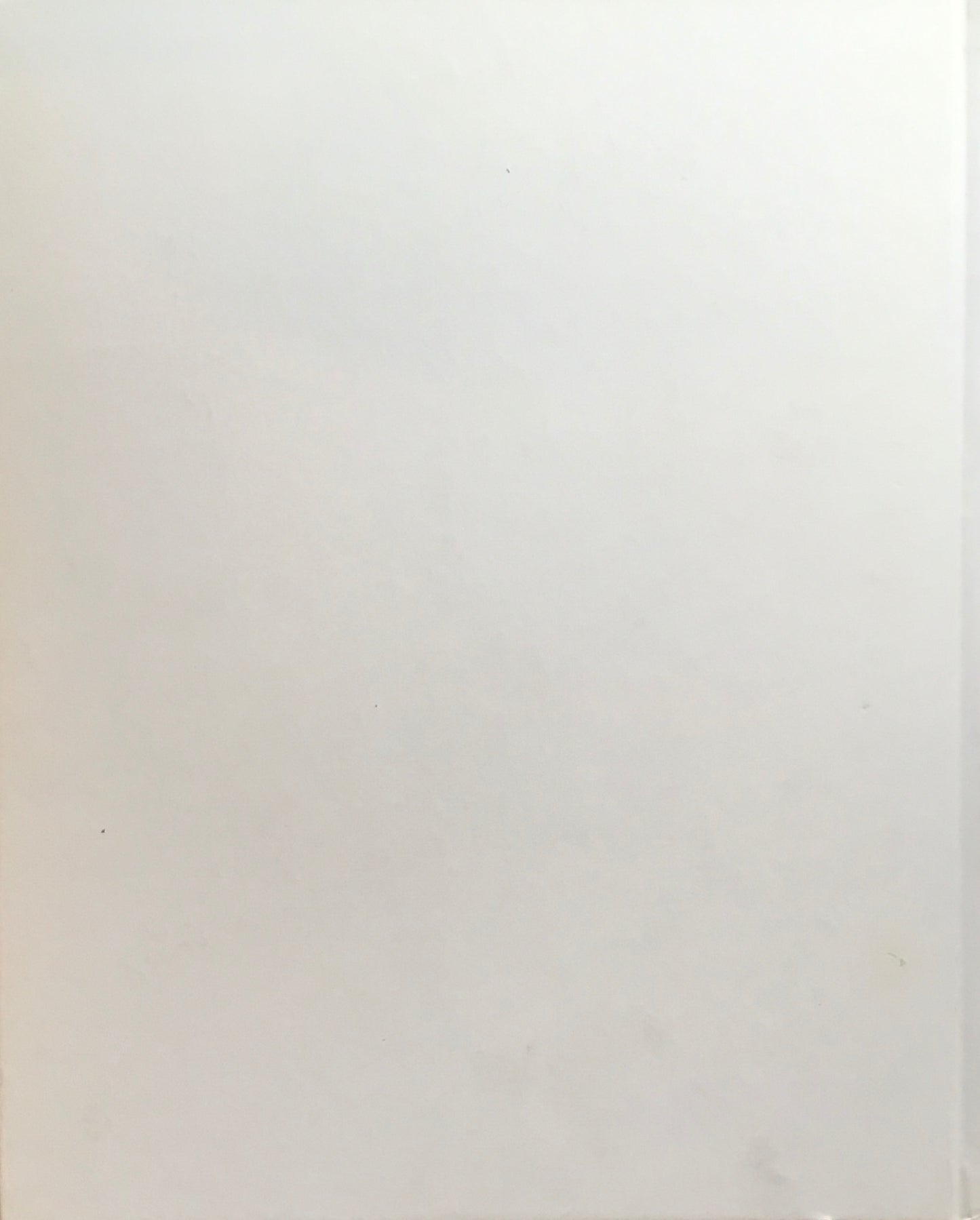 森万里子 ピュアランド