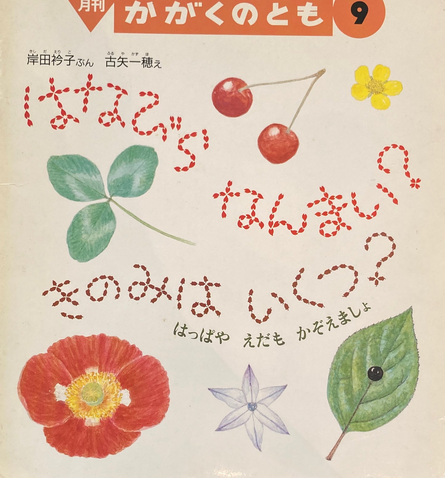 はなびらなんまい?きのみはいくつ? かがくのとも270号