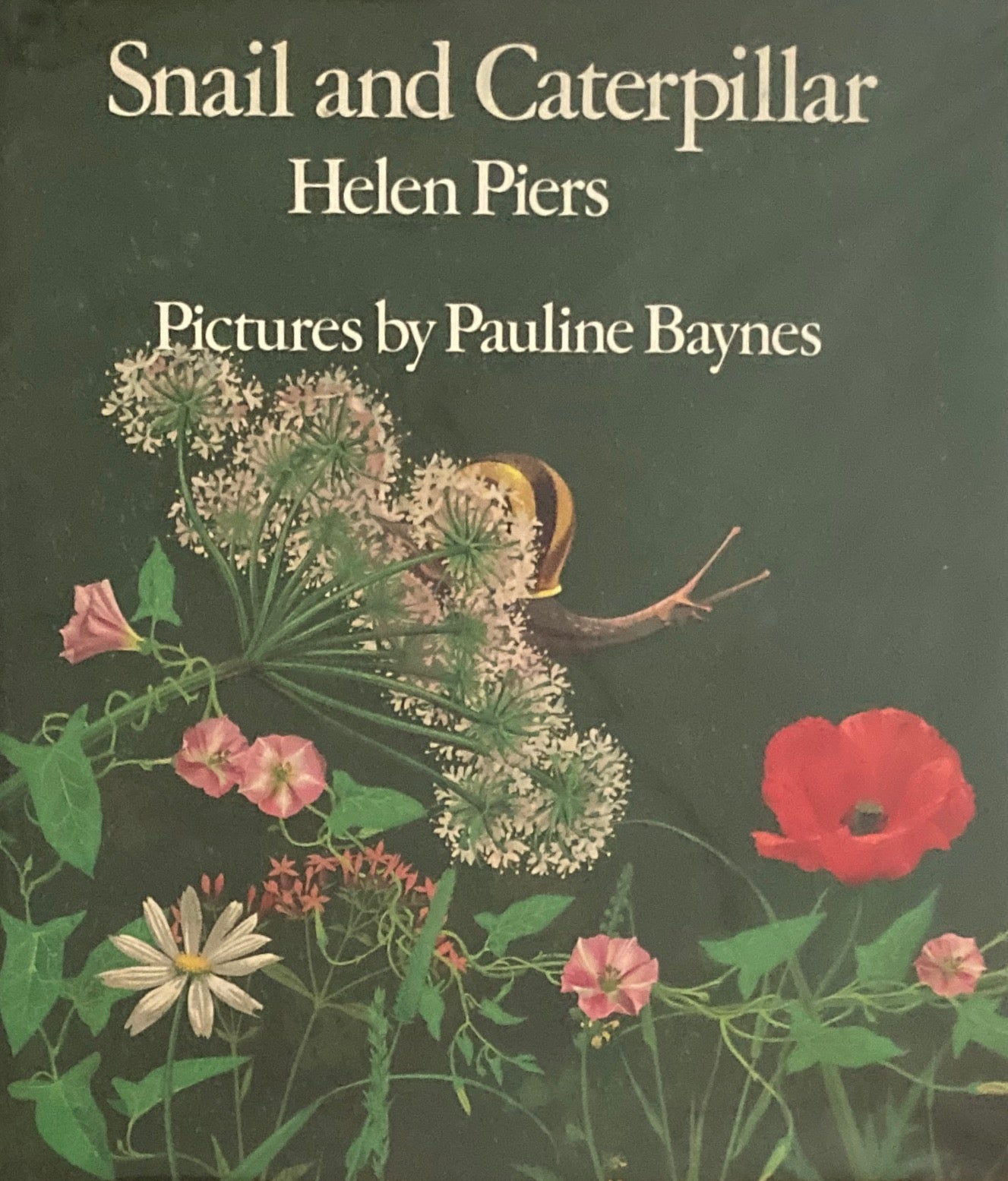 Snail and Caterpillar Pauline Baynes