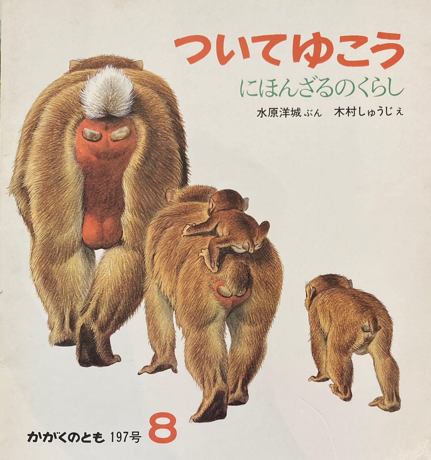 ついてゆこう にほんざるのくらし 木村しゅうじ かがくのとも197号