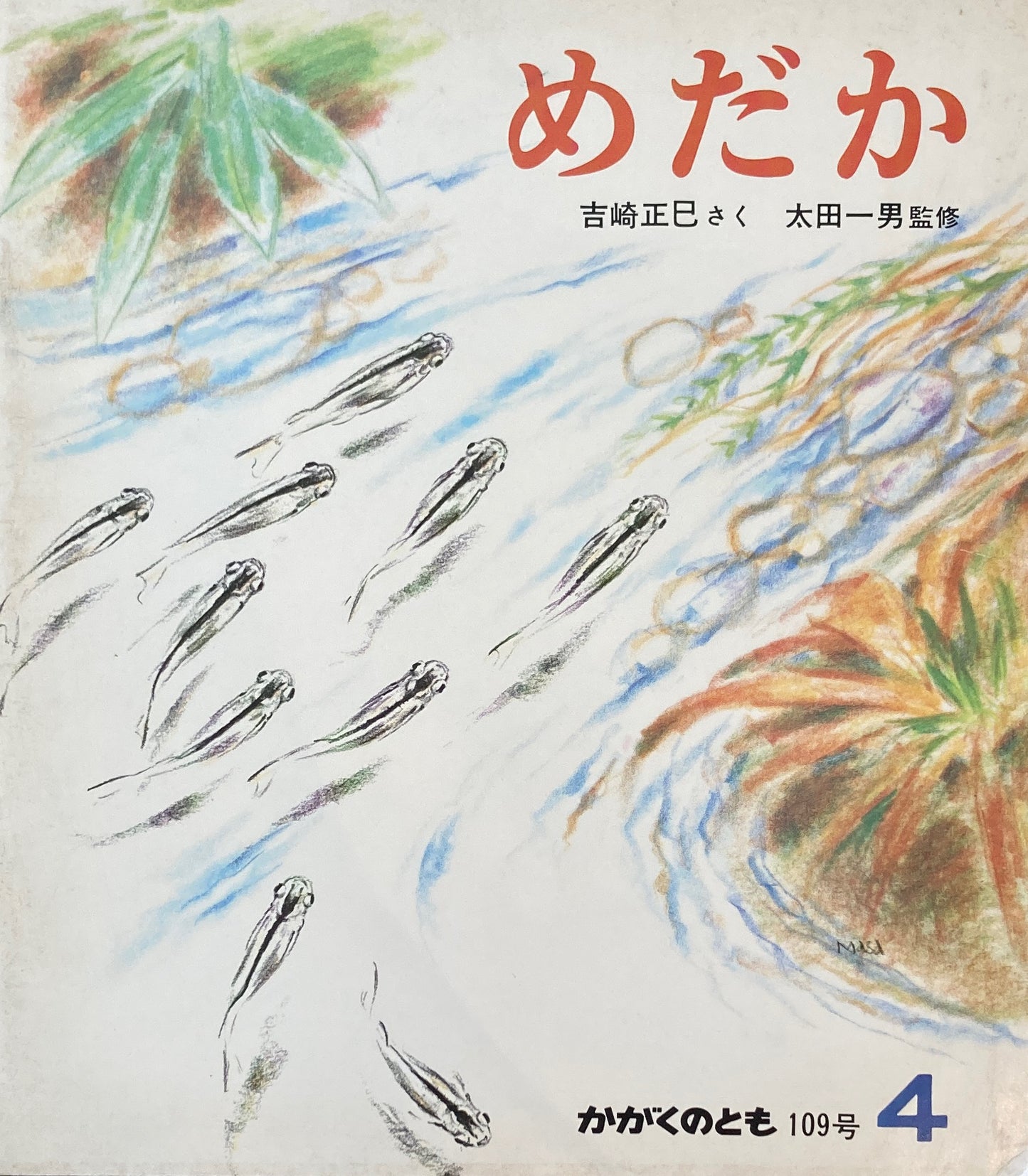 めだか 吉崎正巳 かがくのとも109号