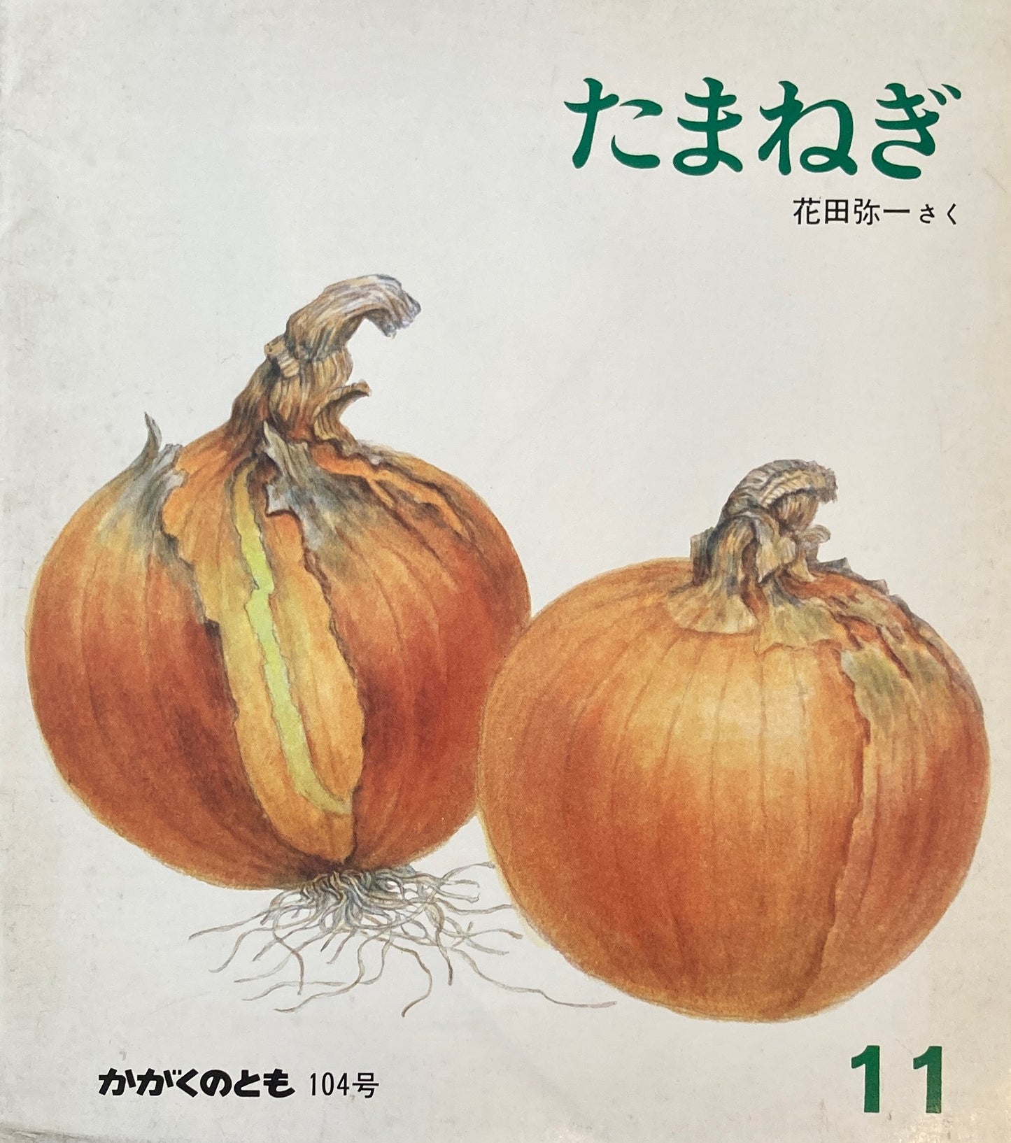 たまねぎ 花田弥一 かがくのとも104号