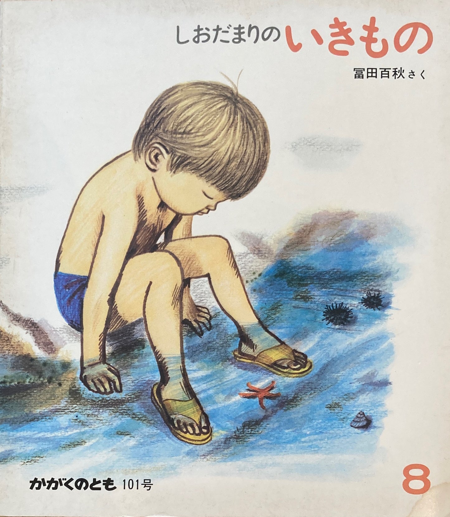 しおだまりのいきもの かがくのとも101号