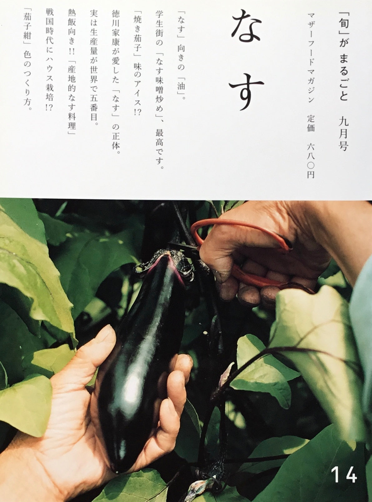 「旬」がまるごと なす