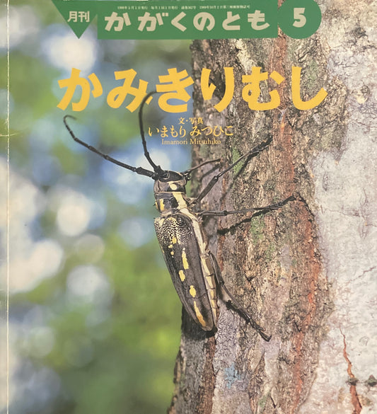 かみきりむし かがくのとも362号