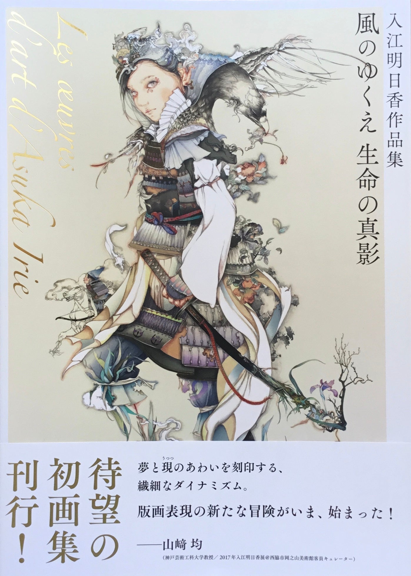 入江明日香作品集 風のゆくえ 生命の真影