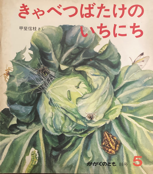 きゃべつばたけのいちにち かがくのとも86号