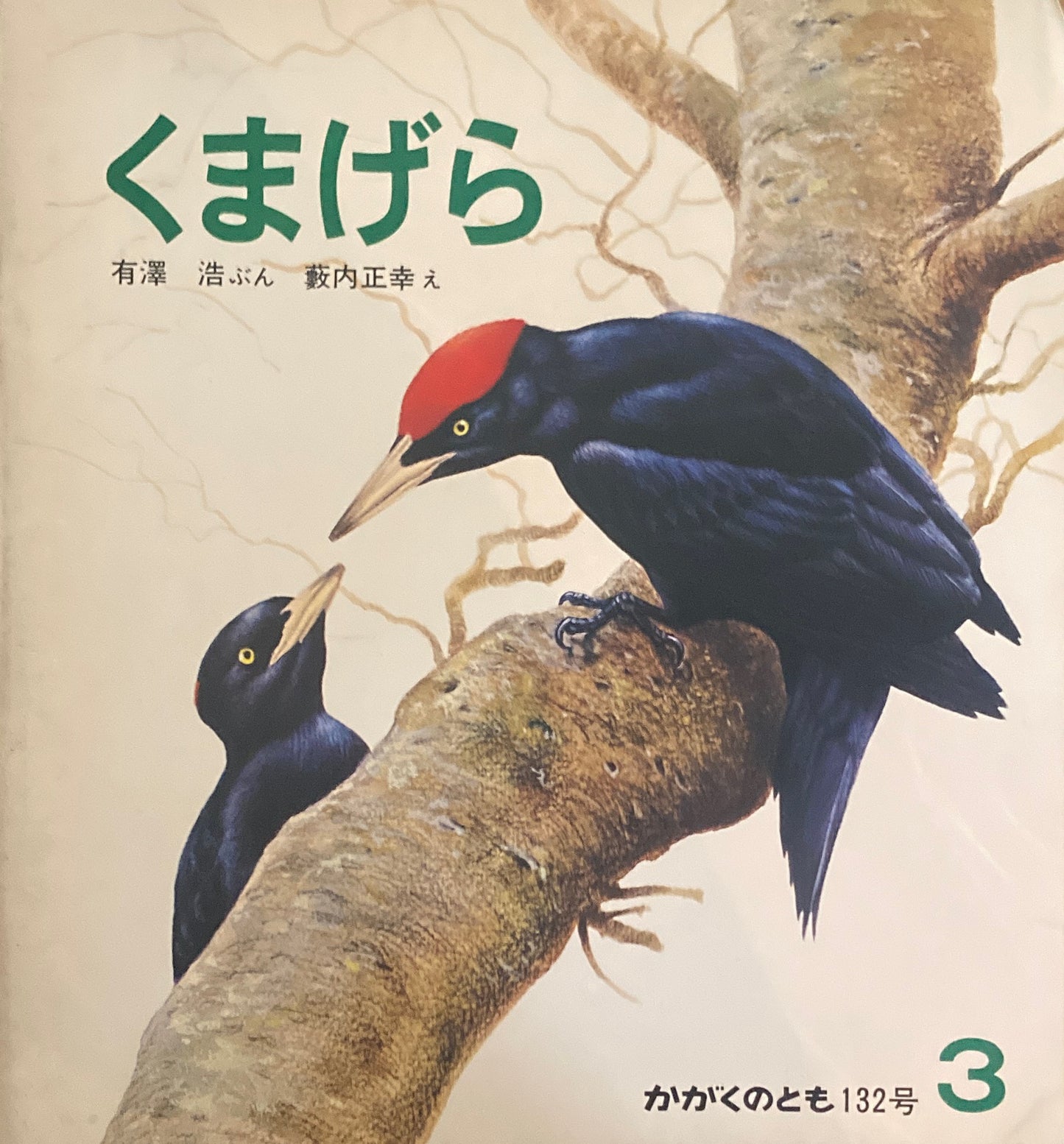 くまげら かがくのとも132号