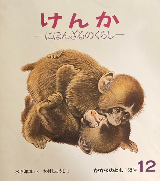 けんか にほんざるのくらし かがくのとも165号